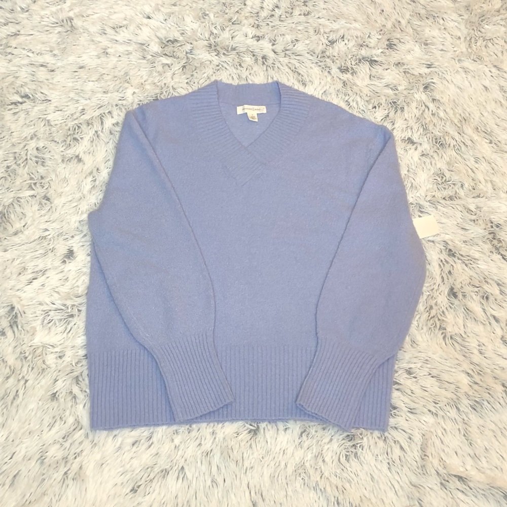Treasure & Bond Cozy v-neck sweater